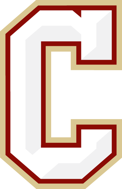 College of Charleston Cougars 2013-Pres Secondary Logo DIY iron on transfer (heat transfer)